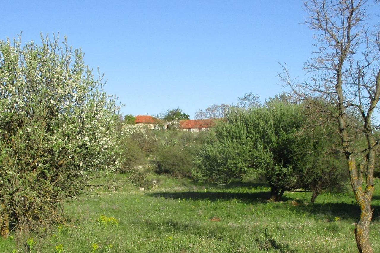 Stone House In A Quiet Landscape, Leonidion Vila Exterior foto